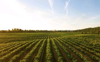 Un corso dedicato alla libera professione del perito agrario